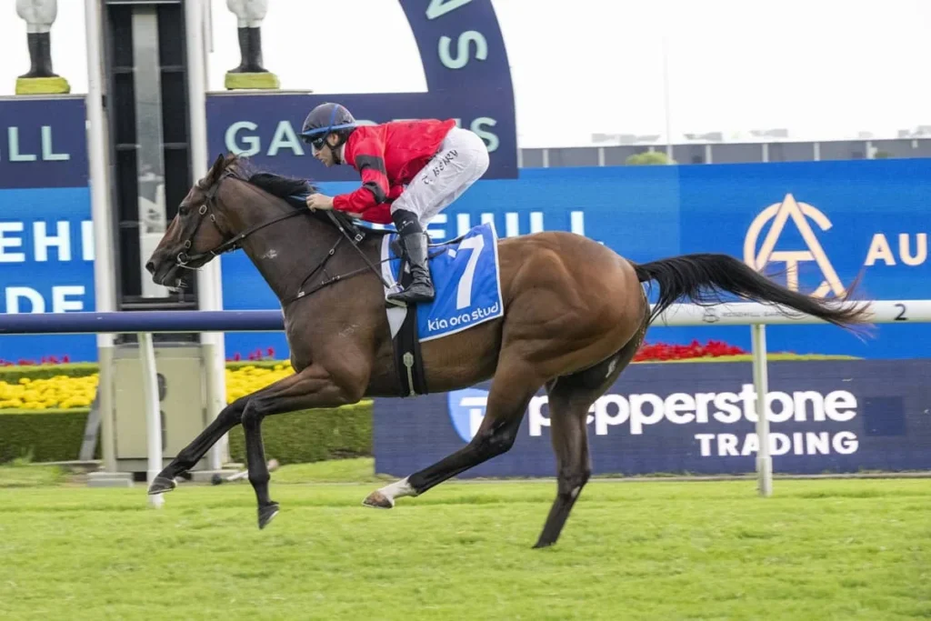 2026 Hobartville Stakes winner Ninja