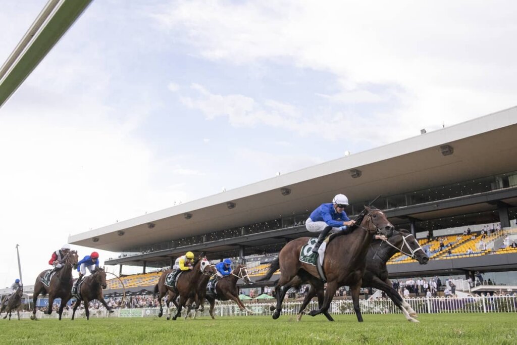 2026 Millie Fox Stakes winner Cinsault