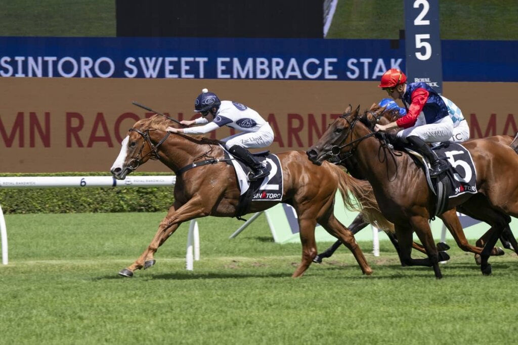 2026 Sweet Embrace Stakes winner Spicy Miss
