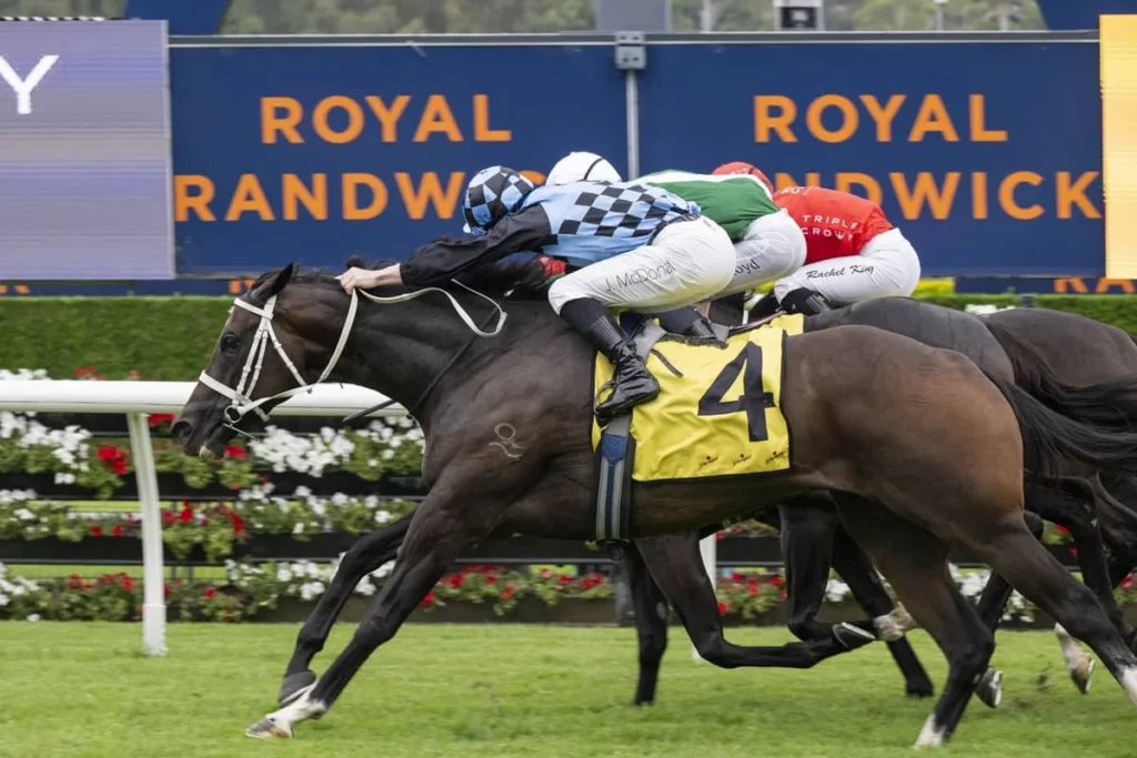2026 Challenge Stakes winner Generosity