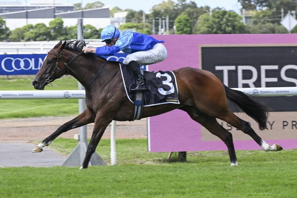 2026 Magic Night Stakes winner Pembrey