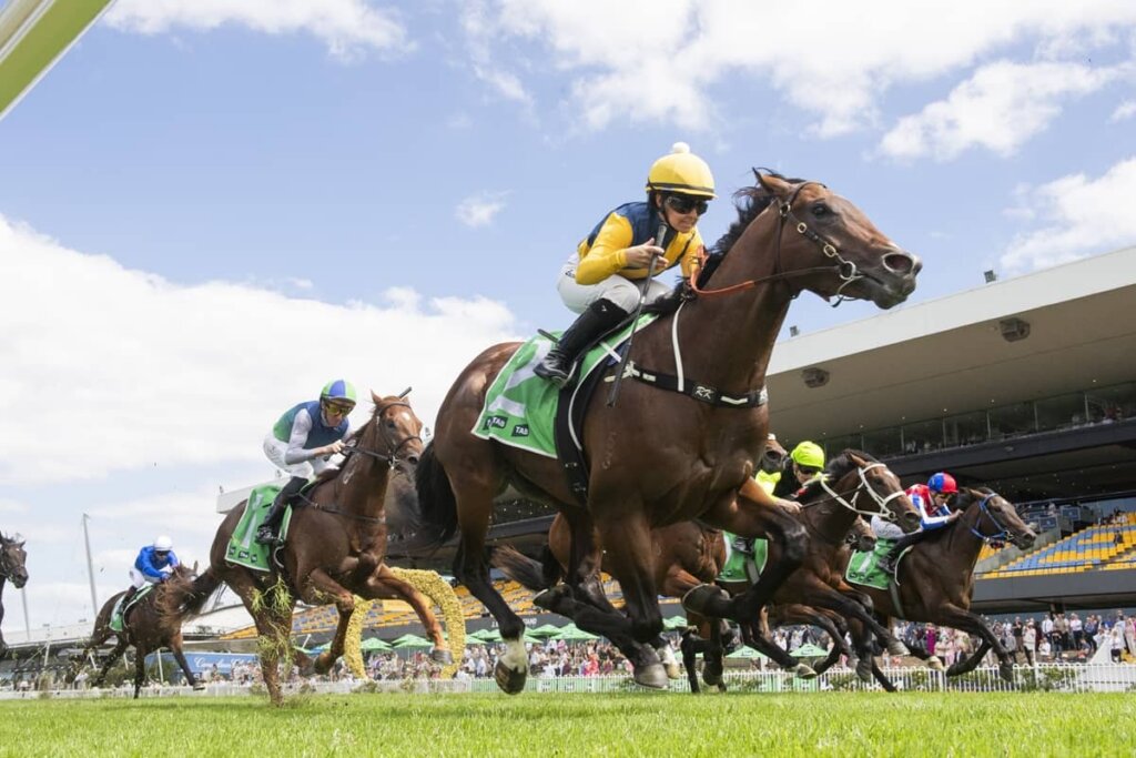 2026 Pago Pago Stakes winner Warwoven