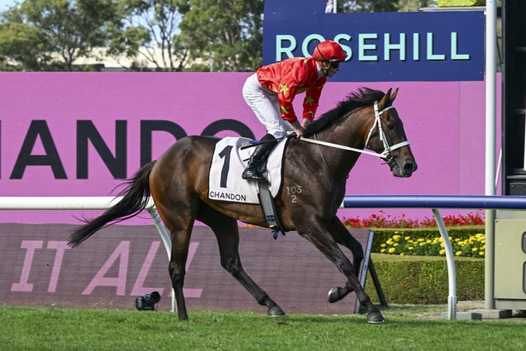 2026 Phar Lap Stakes winner Sixties