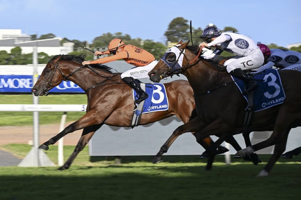 2026 Ajax Stakes winner Cristal Clear
