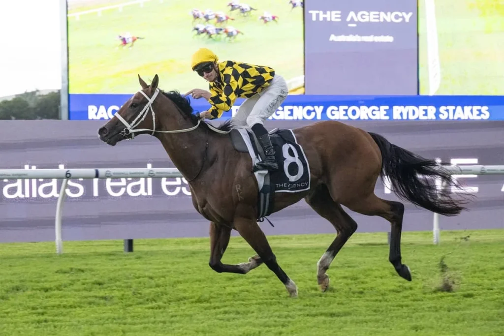 2026 George Ryder Stakes winner Autumn Glow
