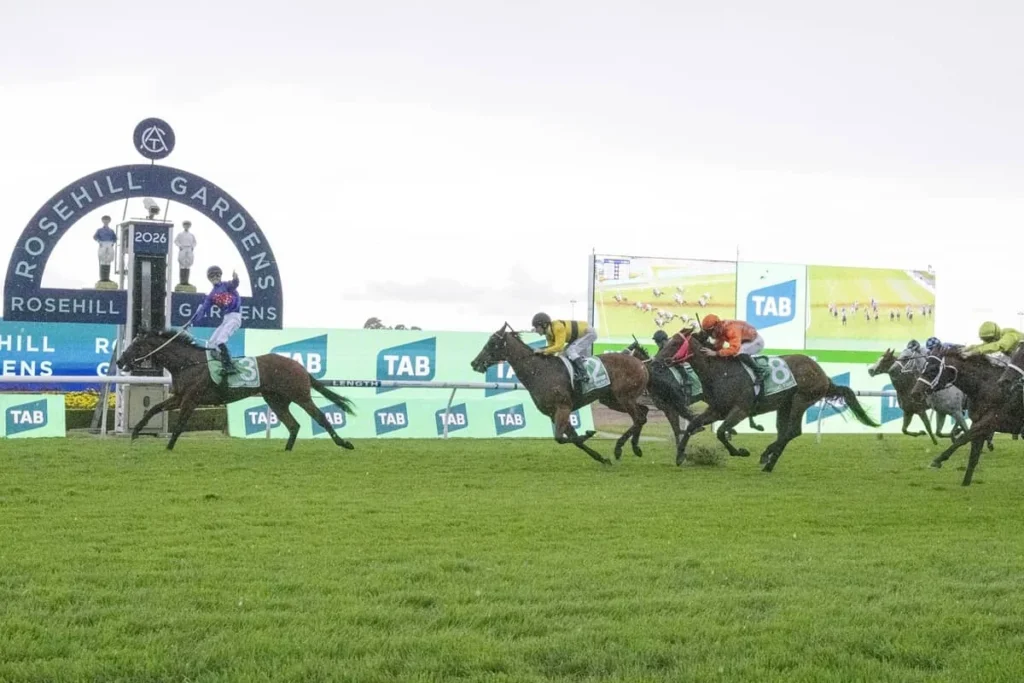 2026 Golden Slipper Winner Guest House