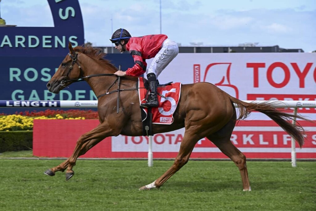 2026 Tulloch Stakes winner Storm Leopard