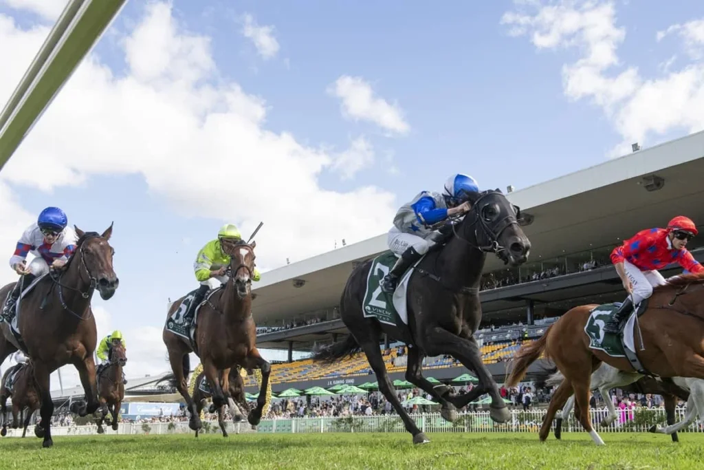 2026 Vinery Stud Stakes winner Belle Cheval
