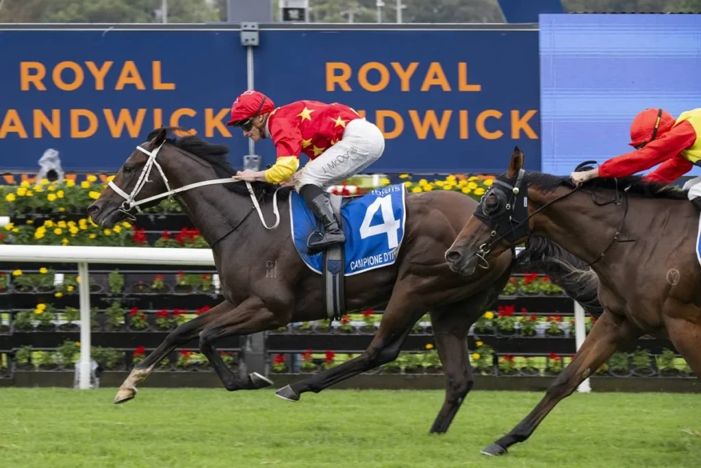2026 Inglis Sires' winner Campione D'italia