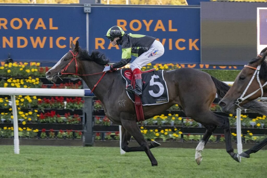 2026 Sapphire Stakes winner In Flight