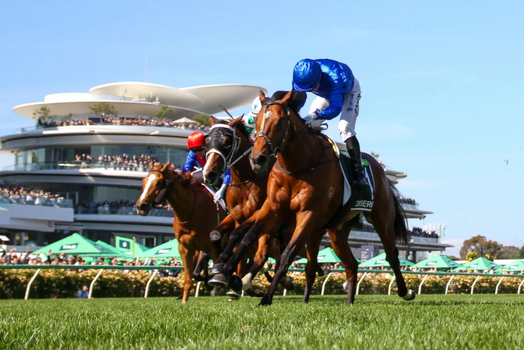 2025 VRC Derby winner Observer