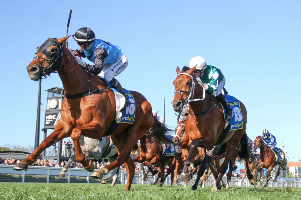 2025 Caulfield Cup winner Half Yours