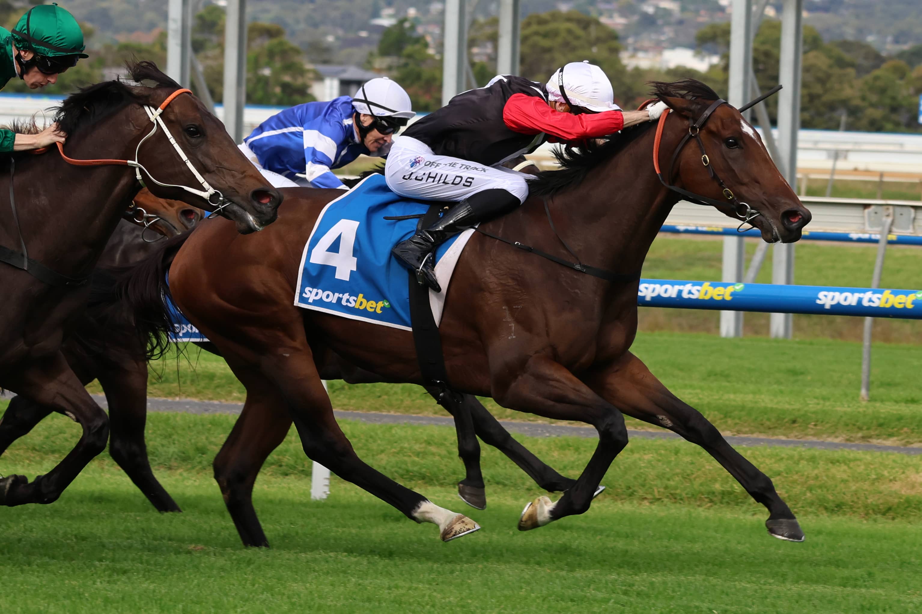 2026 Queen Of The South Stakes winner Cilacap