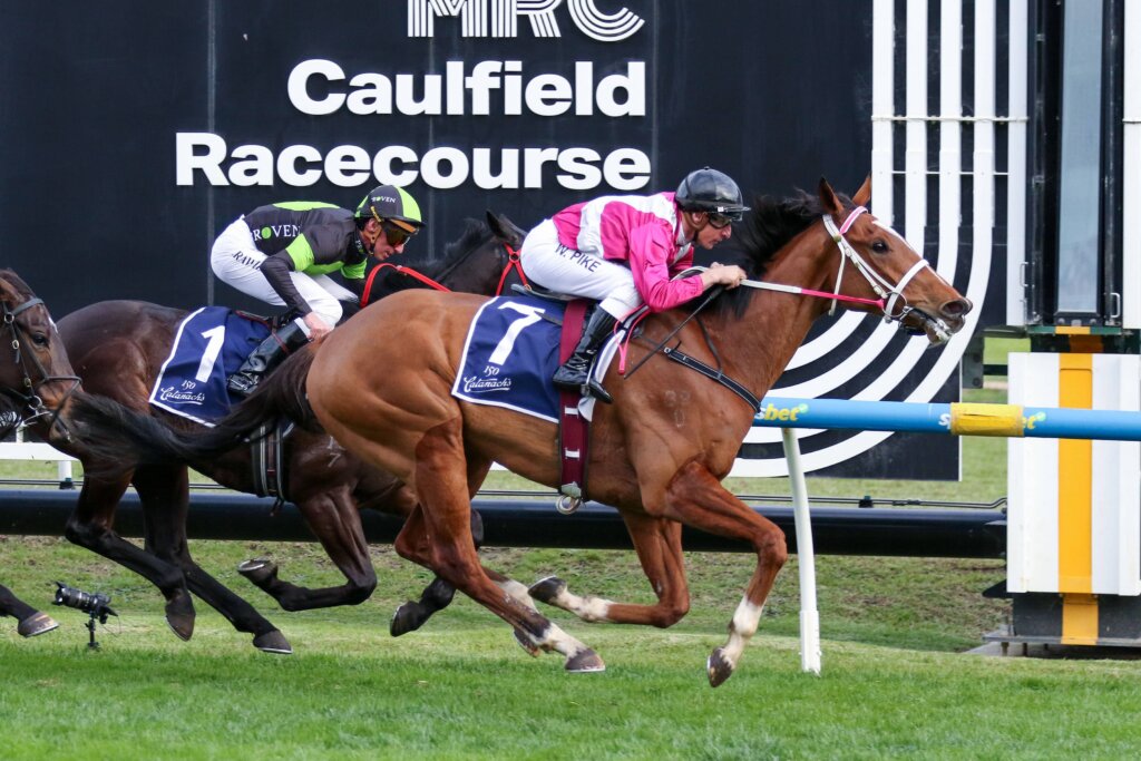 2026 Underwood Stakes Tips: Cosmic Crusader