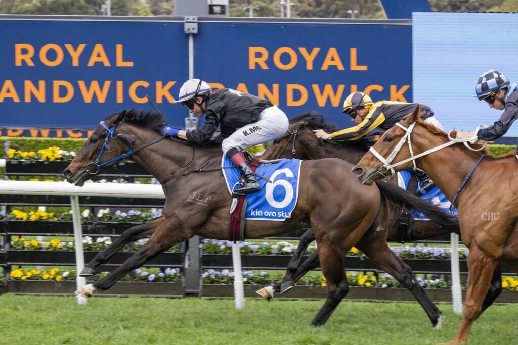 2026 Furious Stakes winner Bangkok Hottie