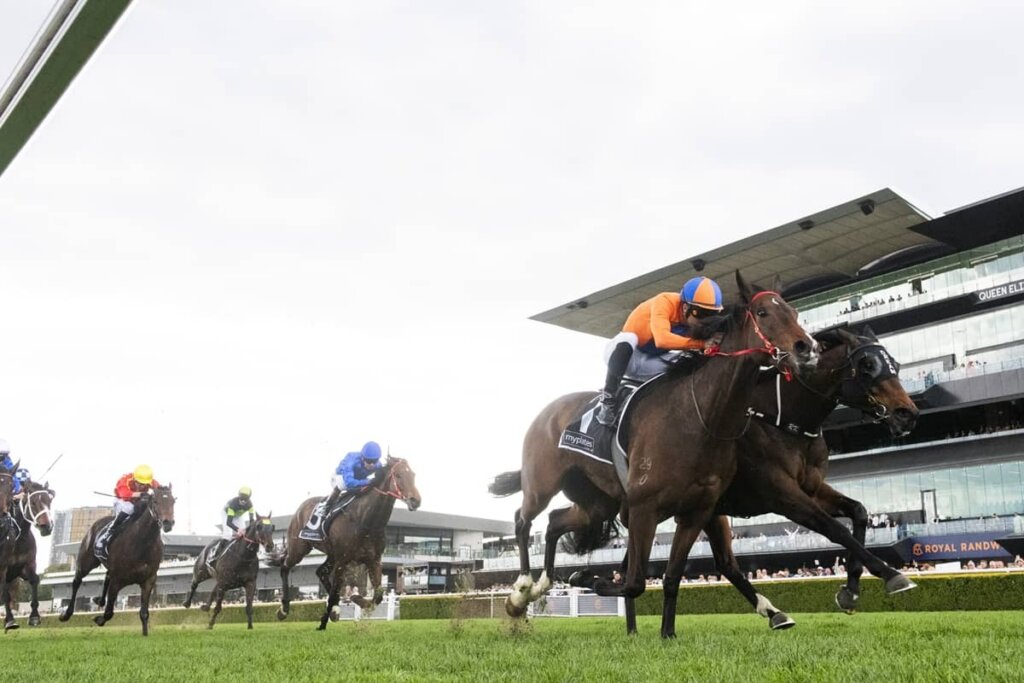 2026 Tramway Stakes winner Headley Grange