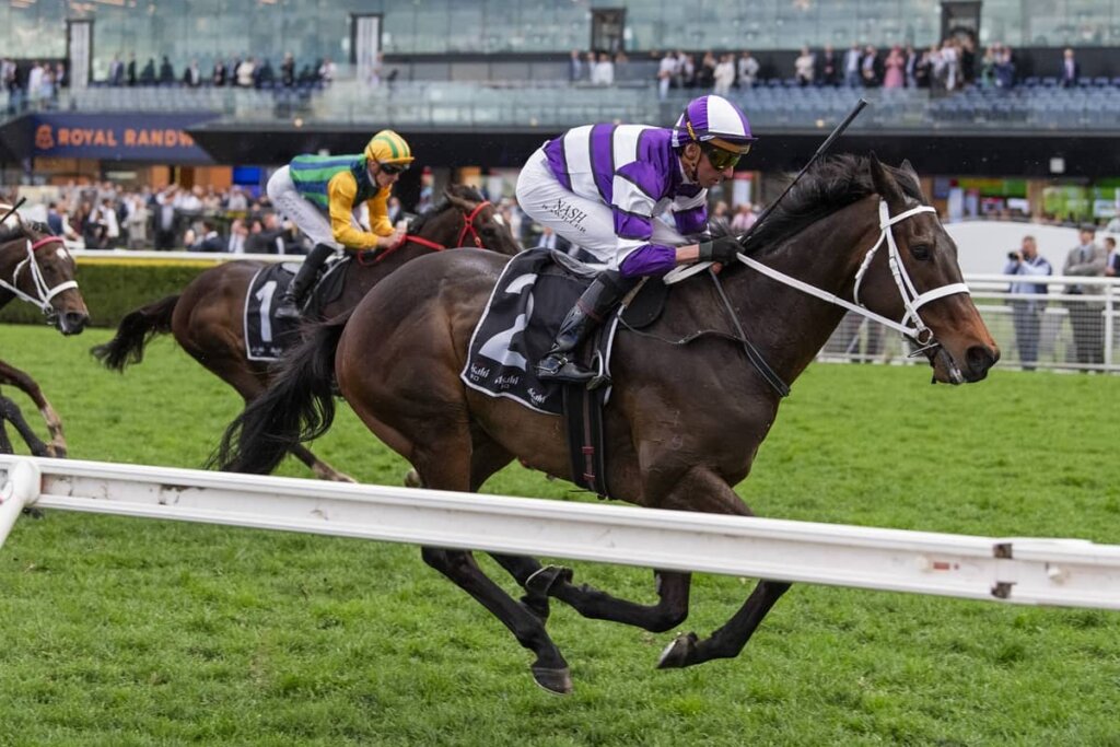2026 Chelmsford Stakes winner Lindermann