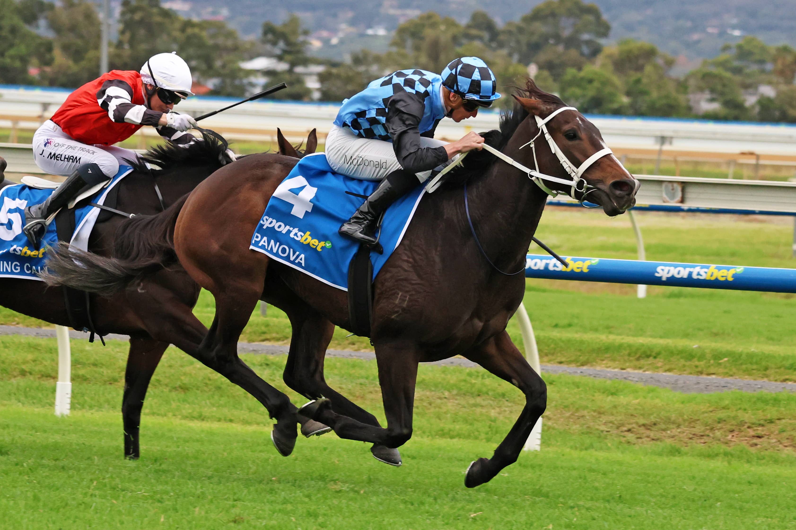 2026 Australasian Oaks winner Panova