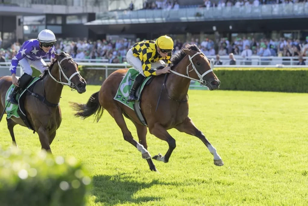 2026 Verry Elleegant Stakes winner Autumn Glow