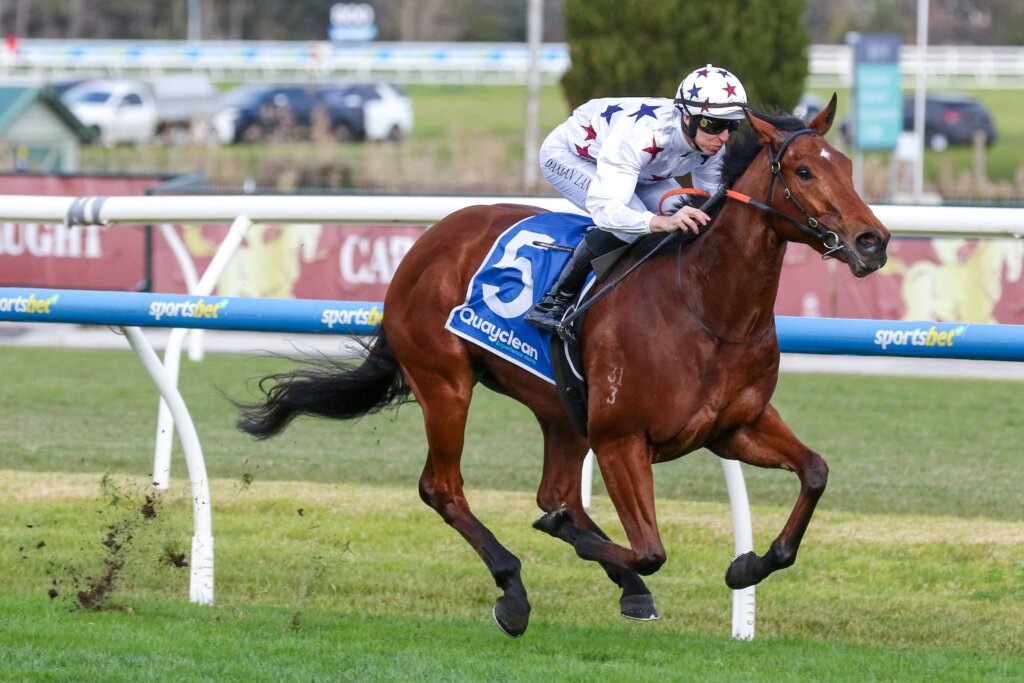 2026 Moir Stakes Tips: Natural Fling