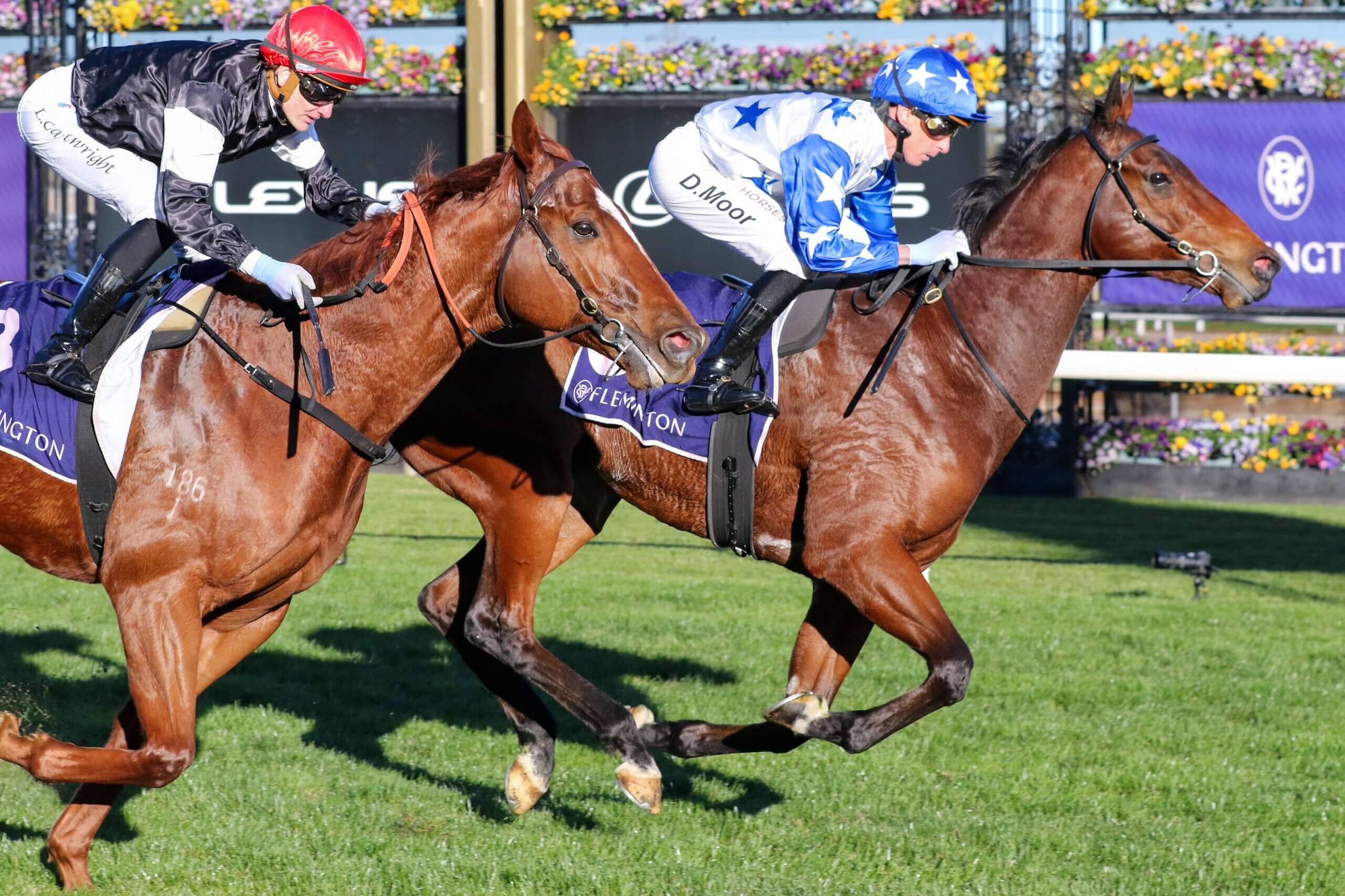 2026 Aurie's Star Handicap winner Boomtown Boss