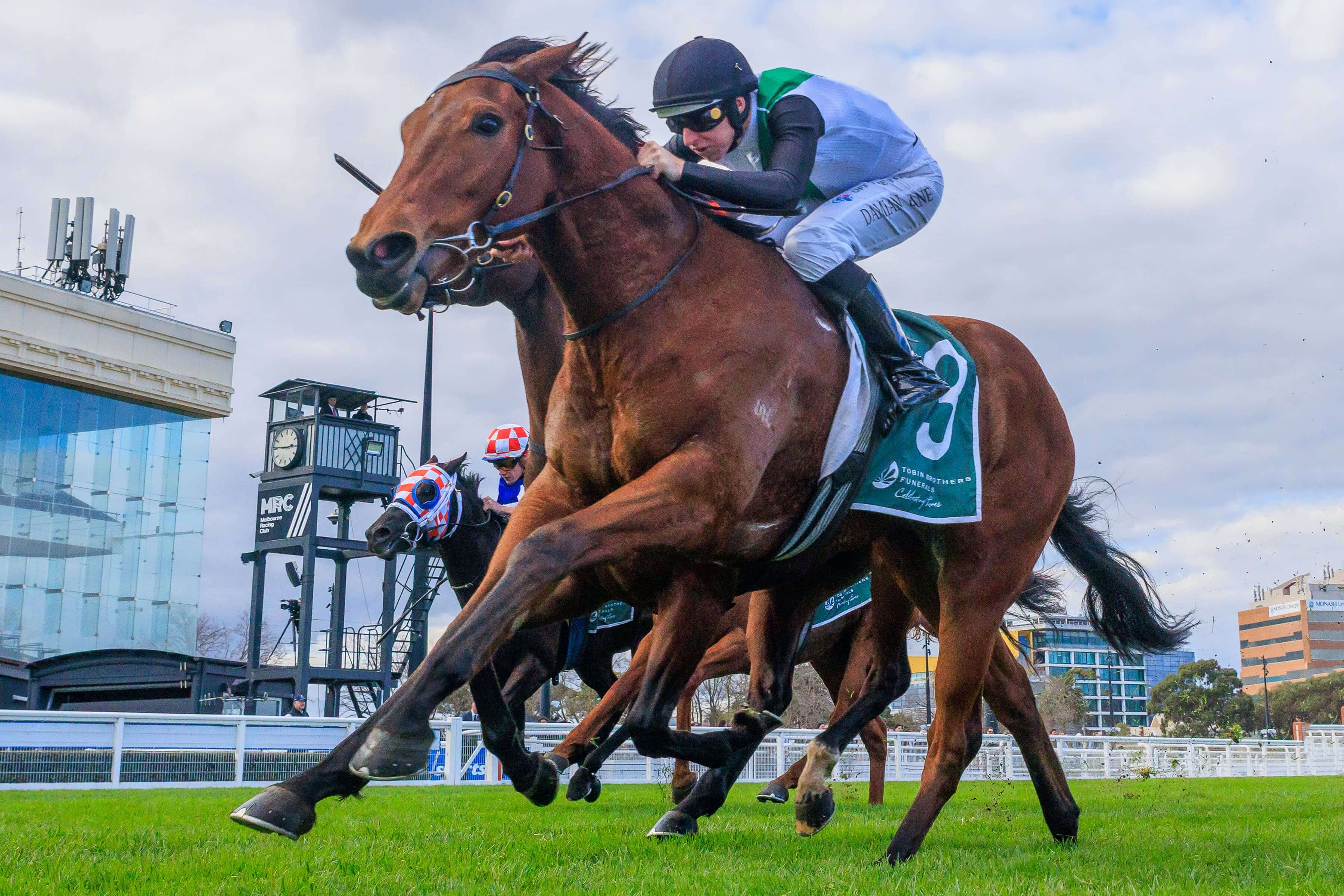 2026 Vain Stakes winner Hard Kick