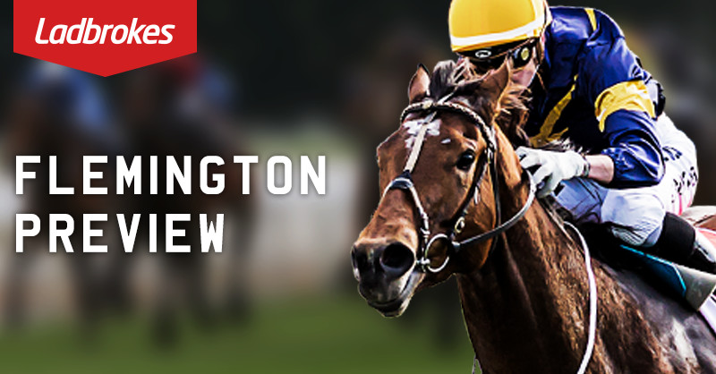 2017 Aurie's Star Handicap Day Preview