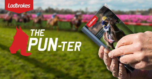 The Adventures Of The PUN-ter: 2017 VRC Oaks Day