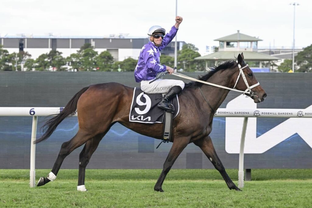 2026 Tancred Stakes winner Aeliana