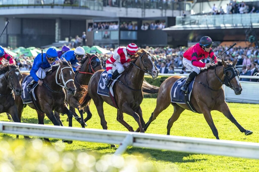 Silver Stars Blog Silver Eagle 2026 Odds, Betting & Race Info I Ladbrokes