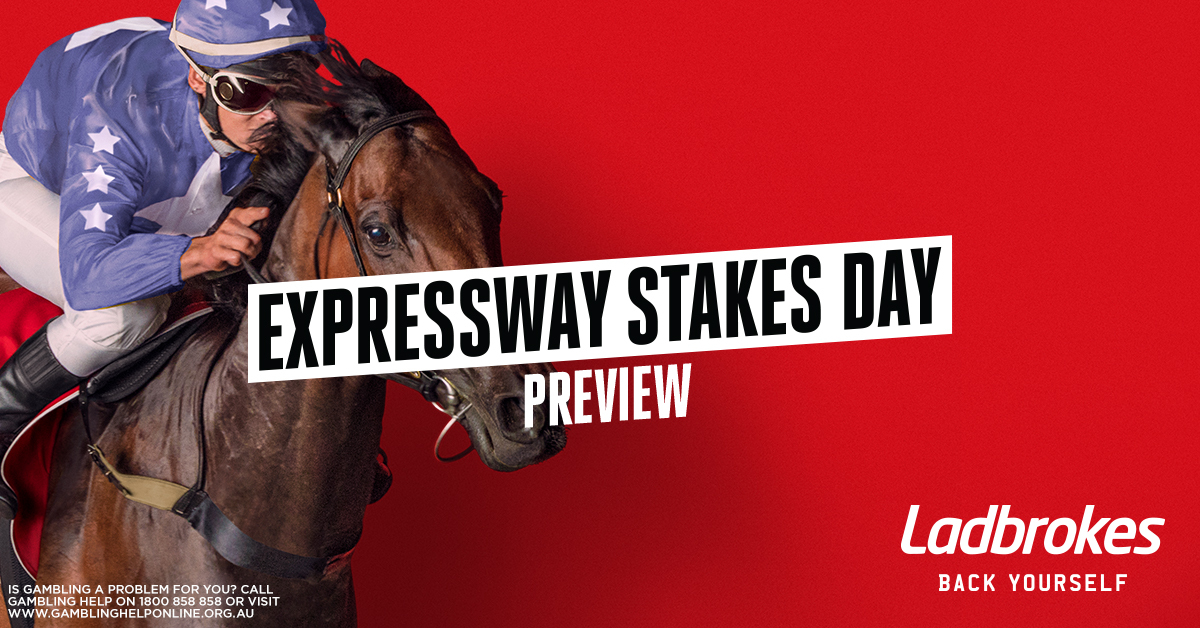 2020 Expressway Stakes Day Preview