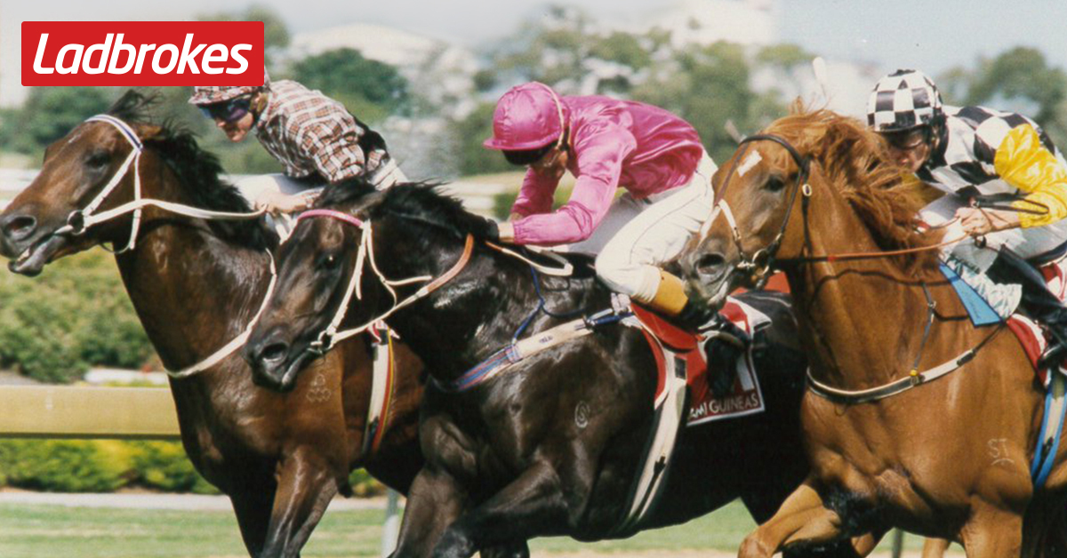 Horse Racing Crops Greatest Three Year Old Crops Ranked | Ladbrokes Blog