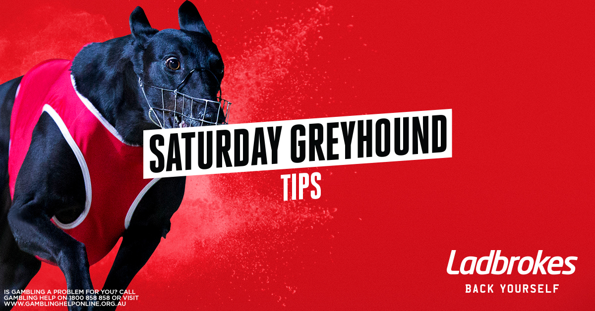 Daily Greyhound Tips - Saturday 28th March