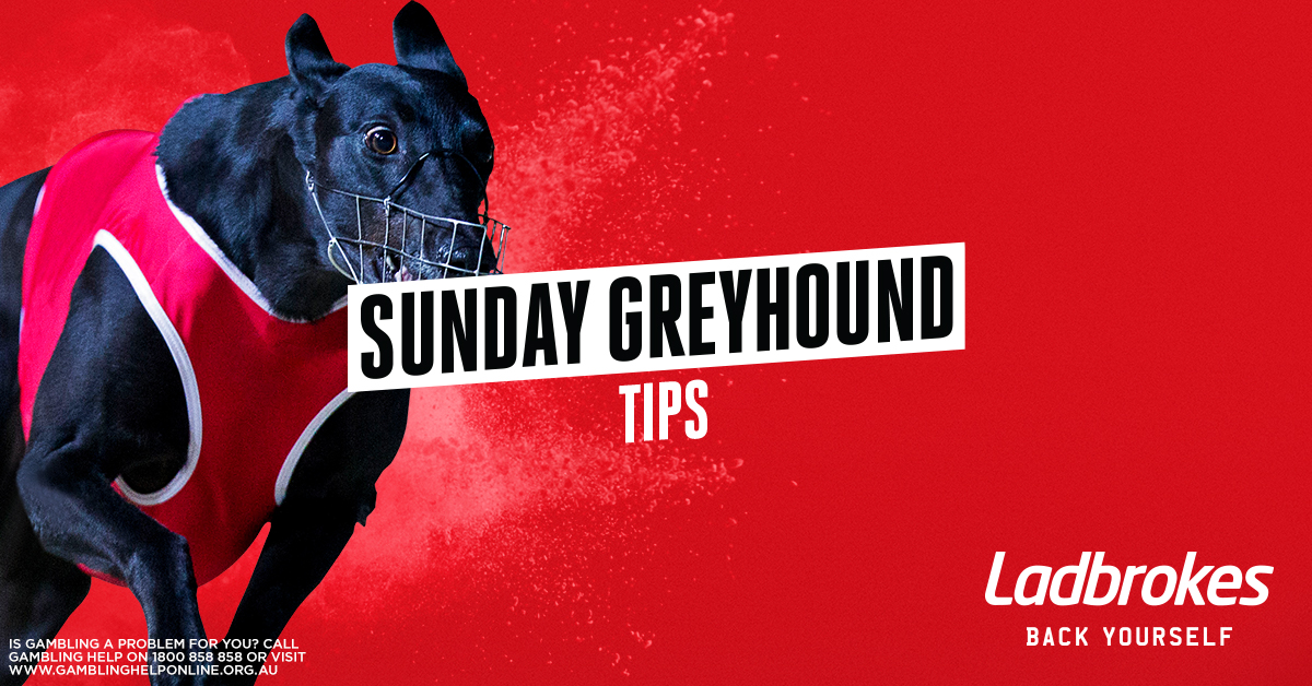 Greyhound Tips - Sunday 29th March