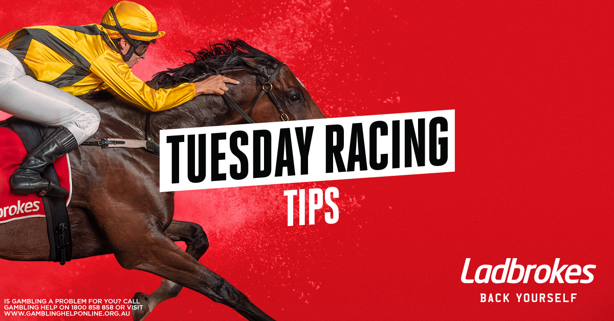 Daily Racing Tips - Tuesday 20th October
