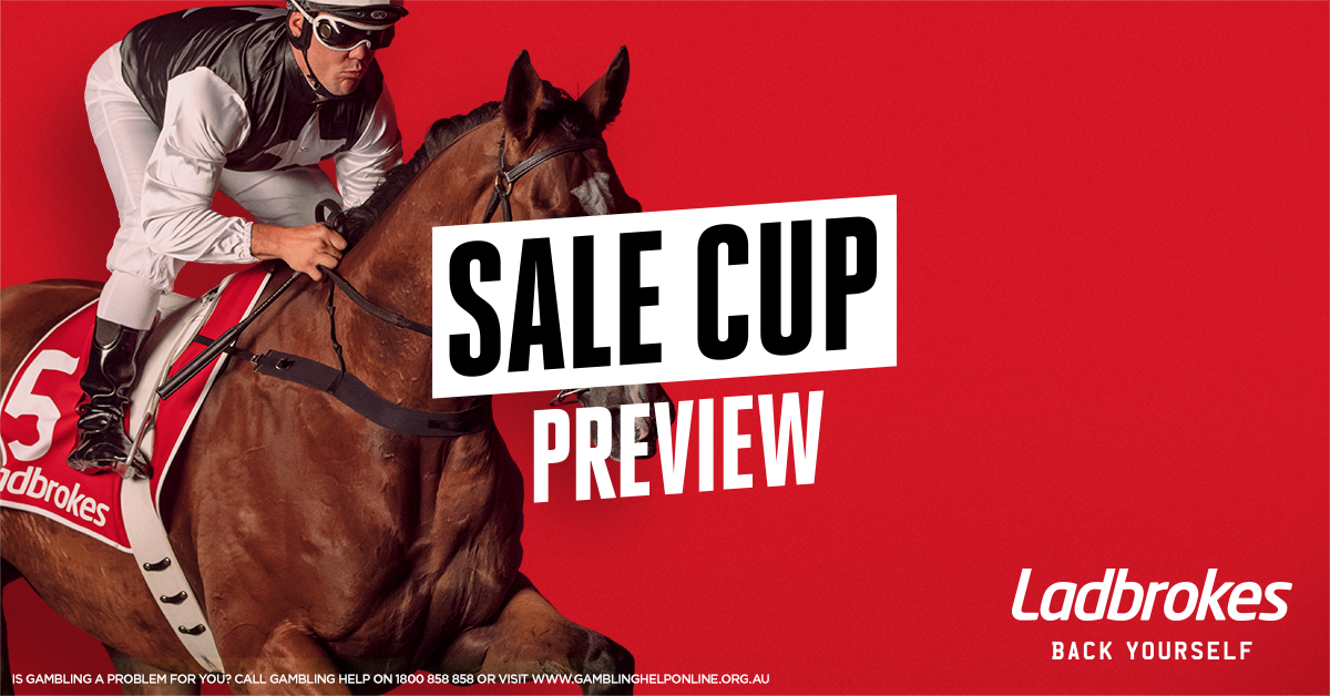 2020 Sale Cup Preview