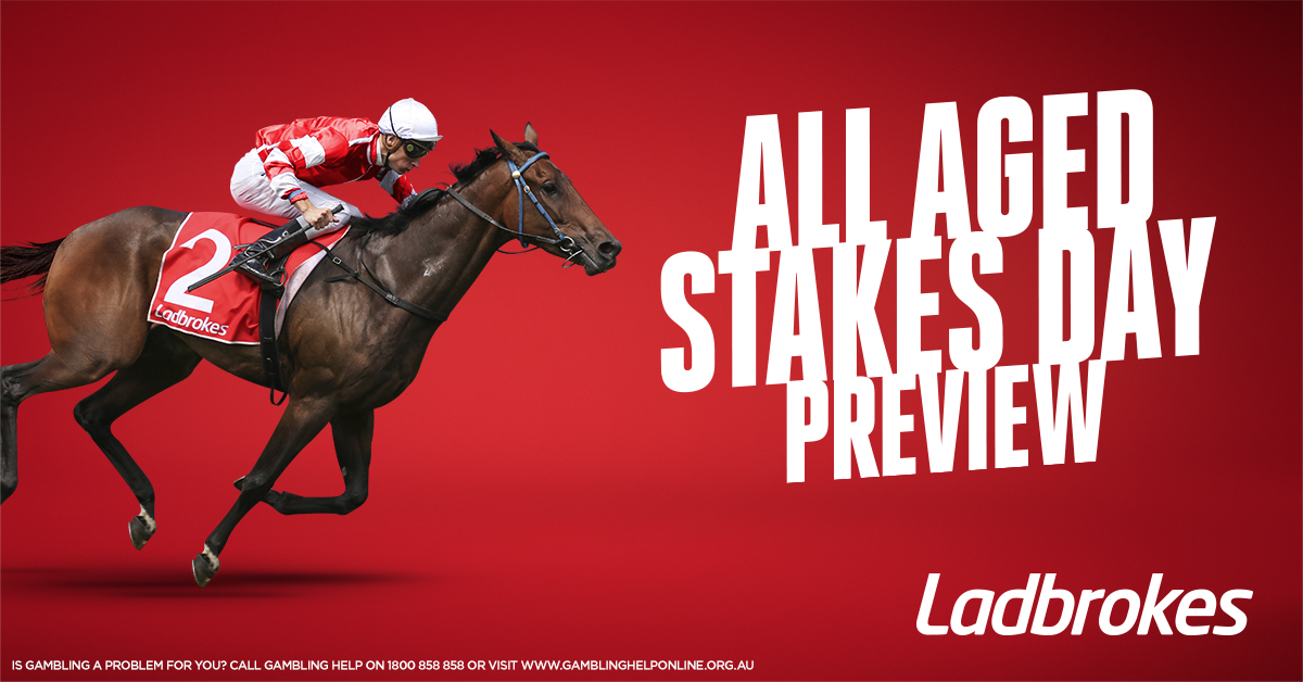 2021 All Aged Stakes Day Preview