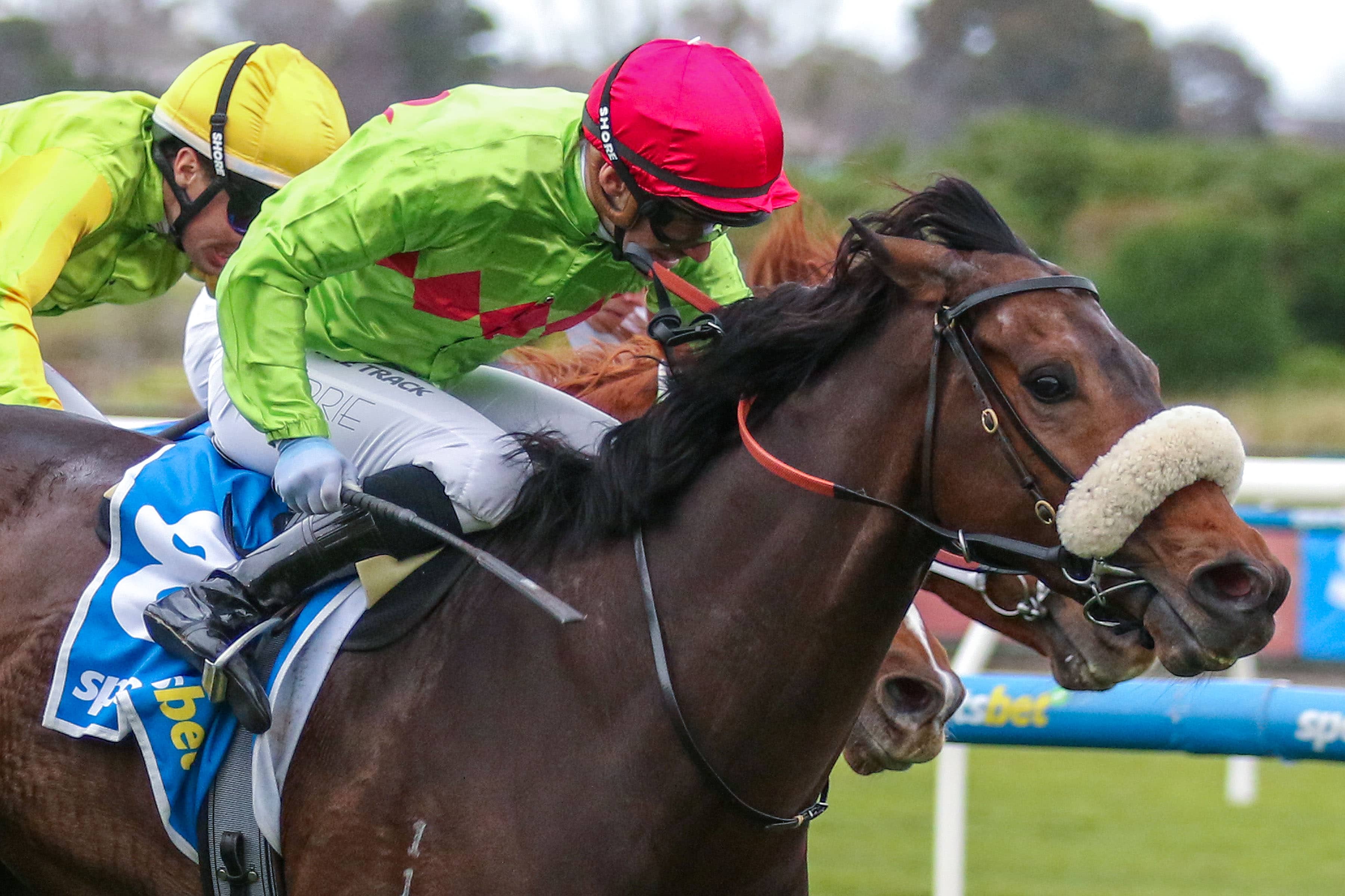 2026 Sir John Monash Stakes winner Winnasedge