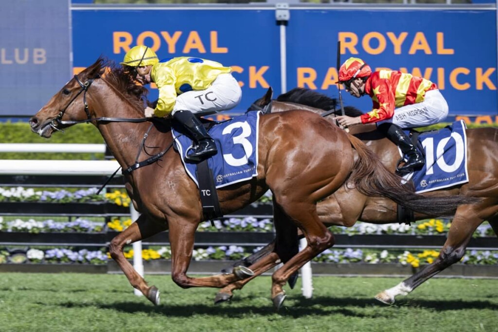 2026 Bill Ritchie Handicap winner General Salute