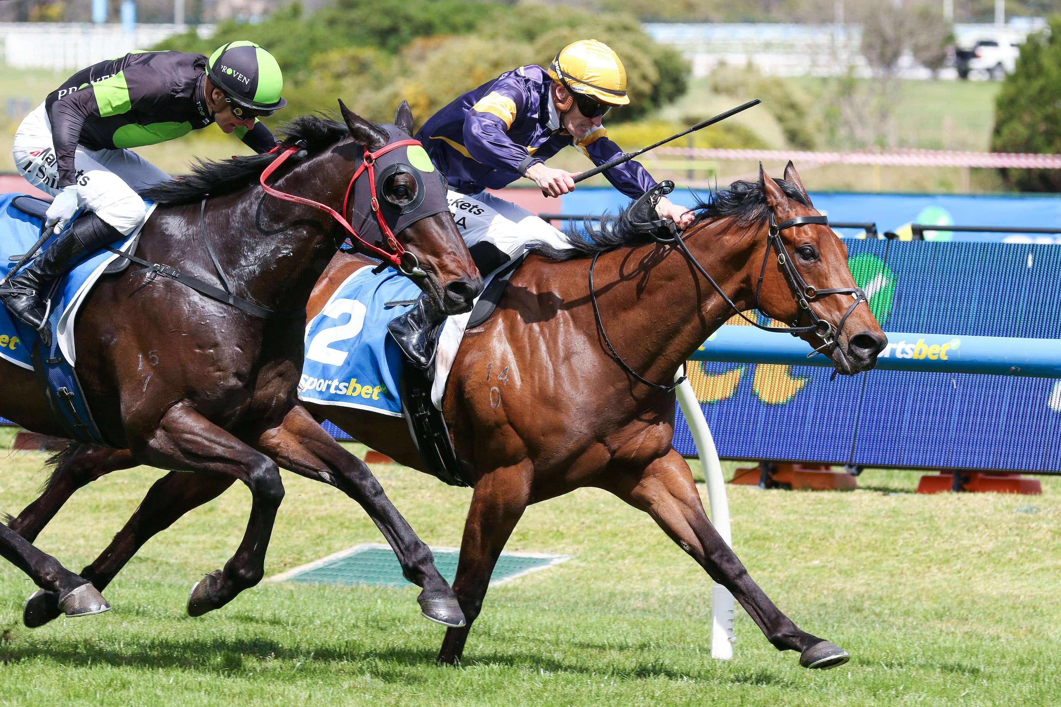 2026 Moonga Stakes winner War Machine