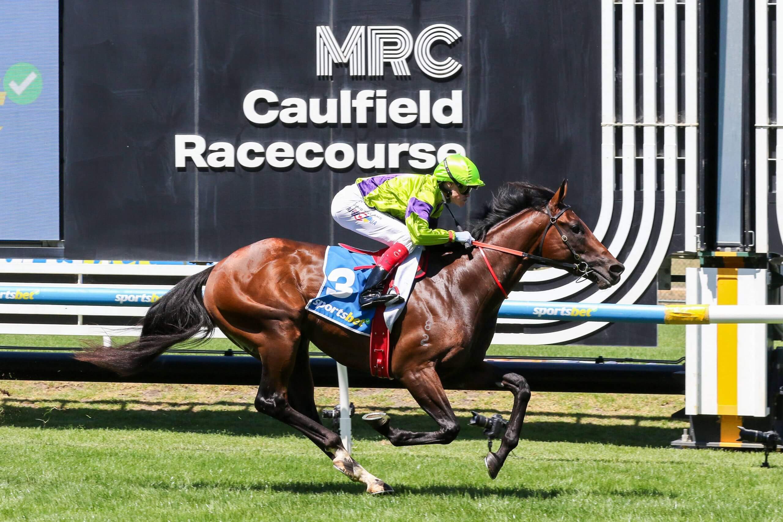 2026 Zeditave Stakes winner Pallaton