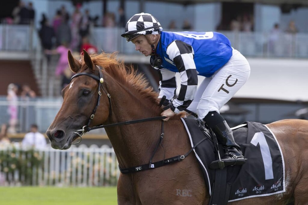 2026 Sky High Stakes winner Vauban