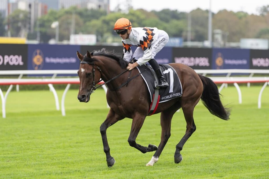 2026 ATC Carbine Club Stakes winner Autumn Break