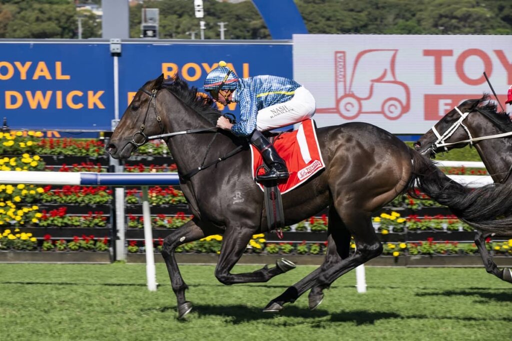 2026 Frank Packer Plate winner Matias