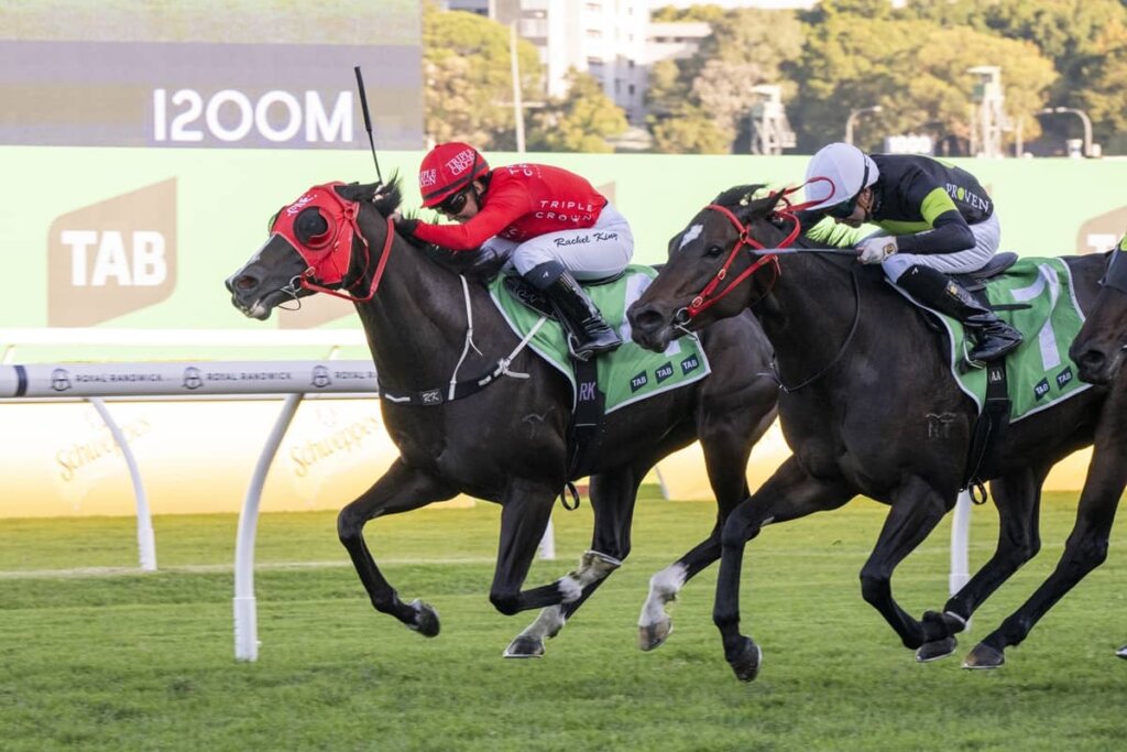 2026 Hall Mark Stakes winner Mazu