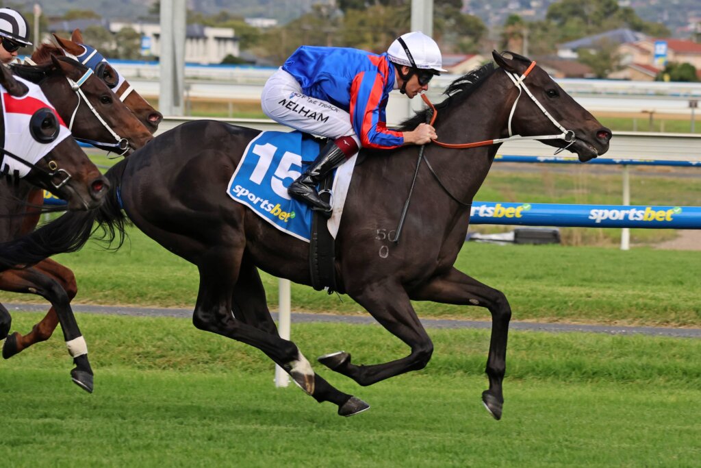 Racing Roughies: Grand Larceny