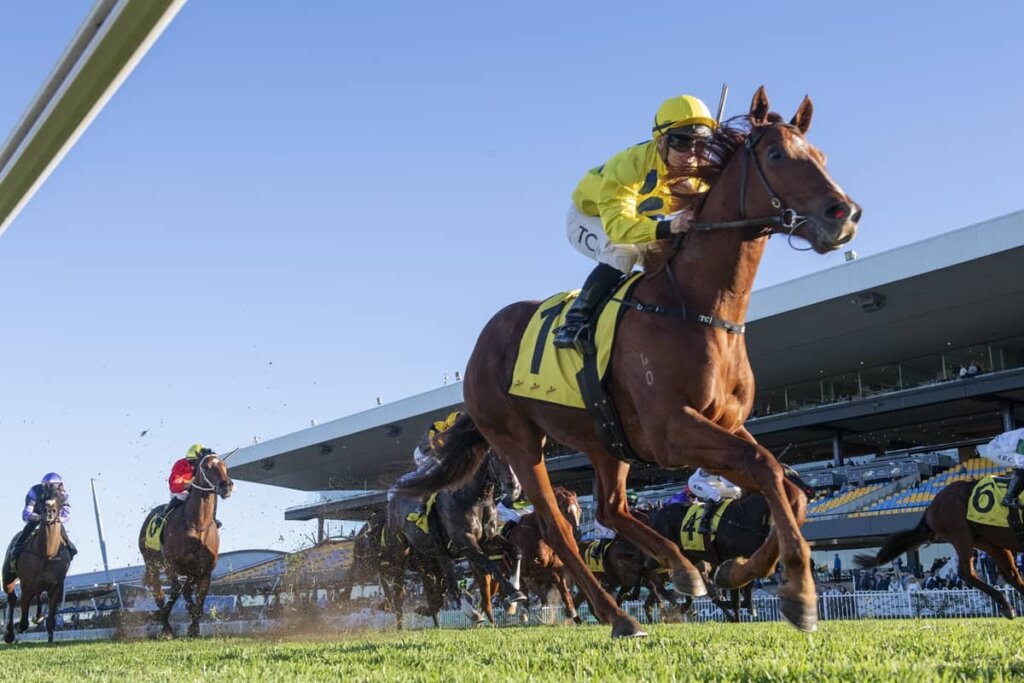 2026 Winter Stakes winner General Salute