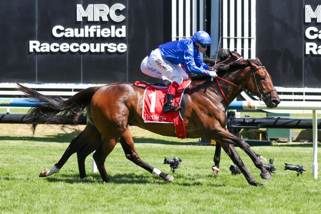 2026 Kevin Heffernan Stakes winner Tom Kitten