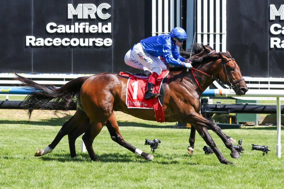 Kevin Heffernan Stakes 2026 | Field & Odds | Ladbrokes
