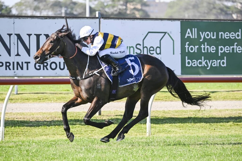 2026 Tibbie Stakes winner Perfumist